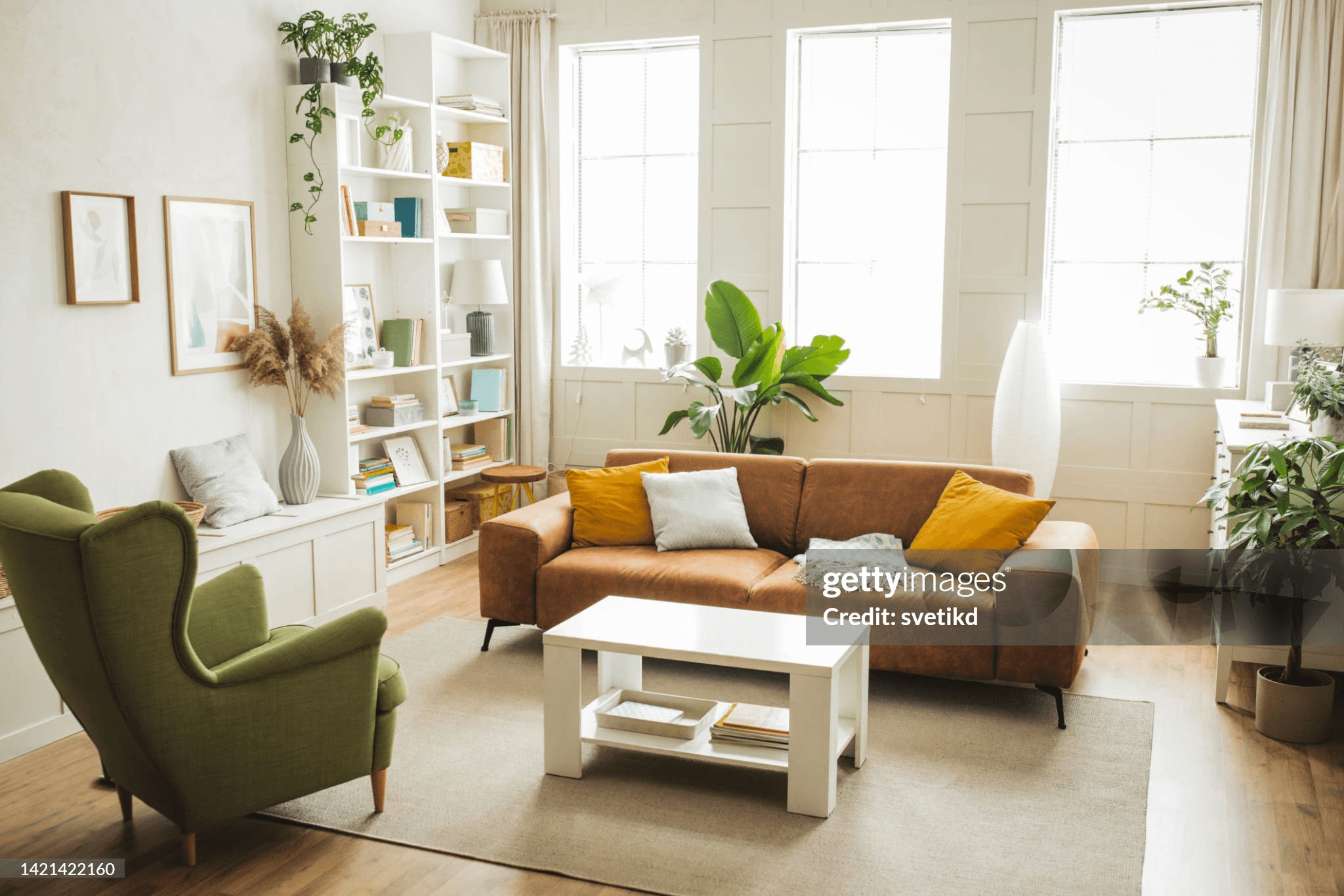 Furniture & Interiors